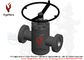 GATE VALVE 4-1/16 IN, API 10000, 6-3/8&quot; FULL BORE, FLANGED, FORGED ALLOY STEEL 4140, BODY M/C: DD, TR:U, PSL2, PR2 supplier