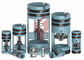 Drill Pipe Float Valve, size: 1R, Type: Plunger – Non-Ported, Model: F With H2S/HPHT/high solids features supplier